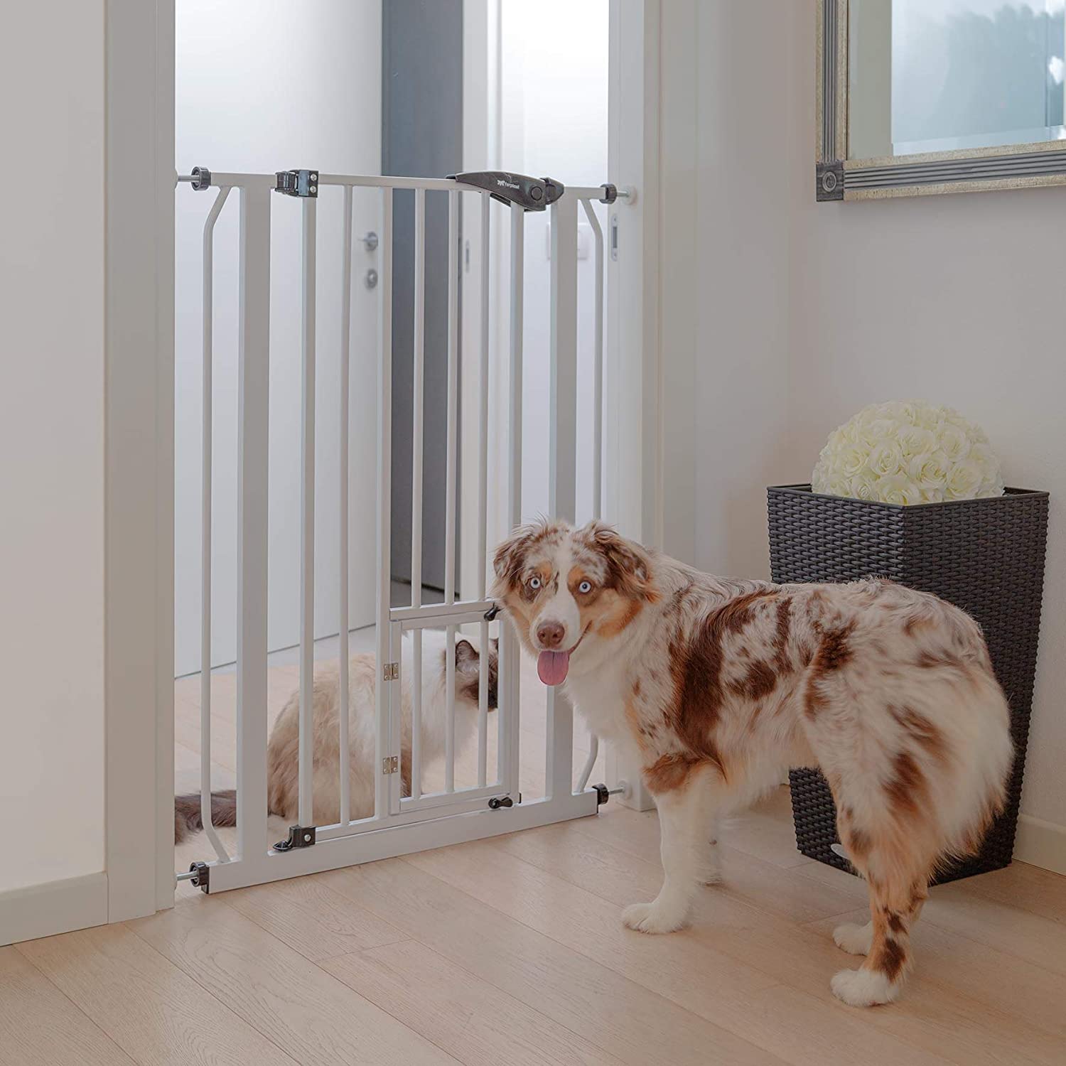 Pet Gate Ferplast Cancello Cancelletto Divisorio Per Cani e Gatti Pet Gate Ferplast Cancello Cancelletto Divisorio Per Cani e Gatti